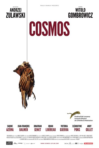 Affiche du film Cosmos