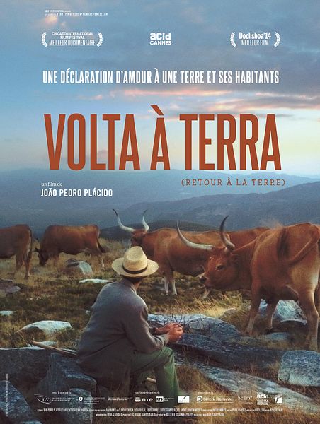 Affiche du film Volta à Terra