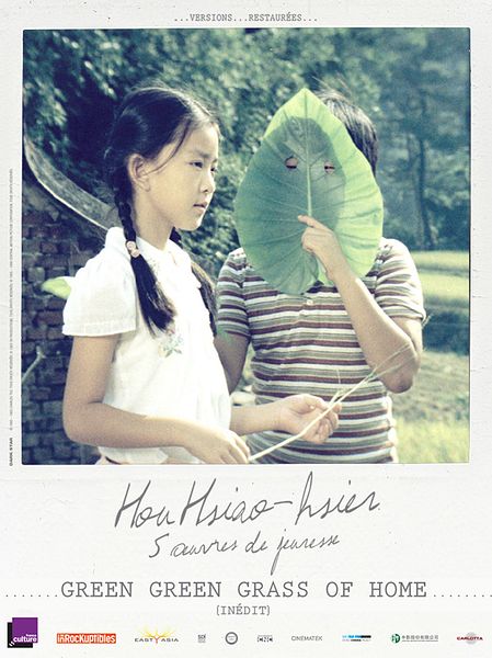 Affiche du film Green Green Grass of Home