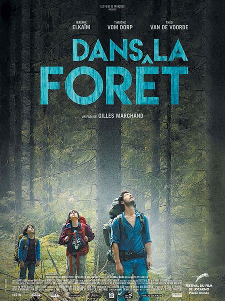 Affiche du film Dans La Forêt