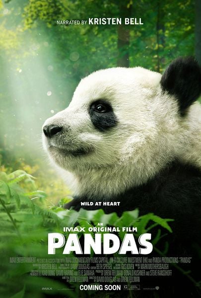 Pandasaurus