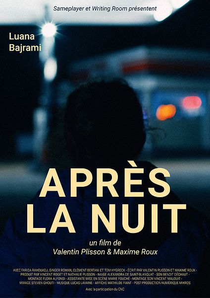 Affiche du film Après la nuit