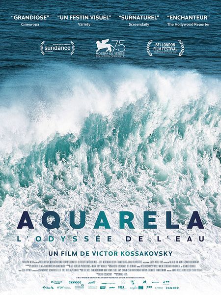 Affiche du film Aquarela - L'Odyssée de l'eau