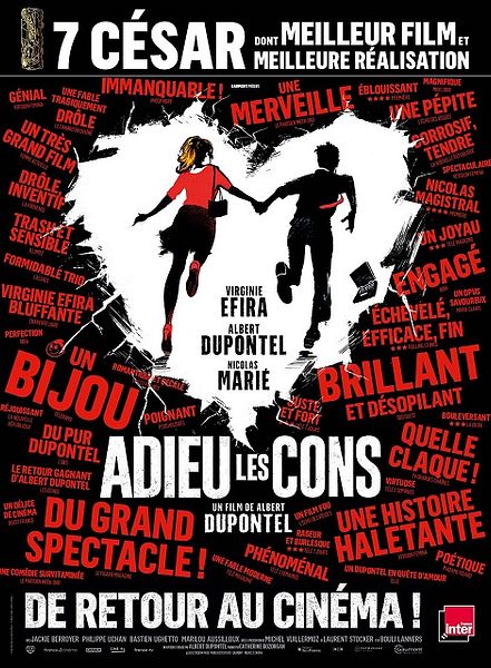 Affiche du film Adieu Les Cons