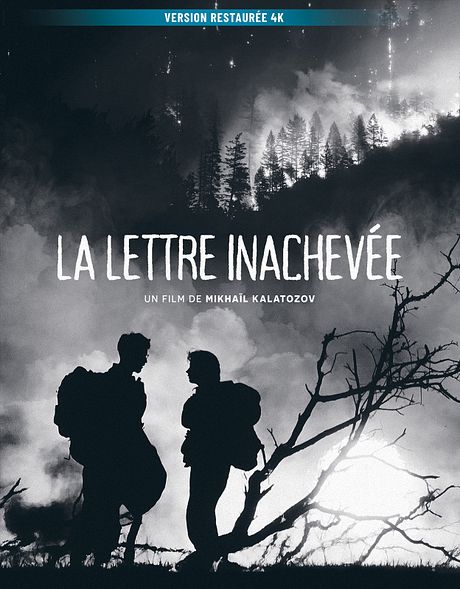 Affiche du film La Lettre inachevée