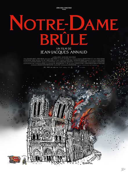 Affiche du film Notre-Dame brûle