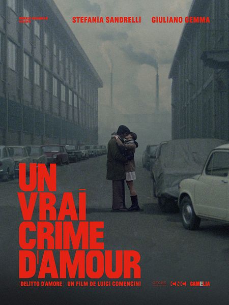 Affiche du film Un vrai crime d'amour