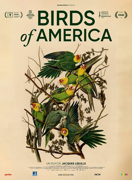 Affiche du film Birds of America