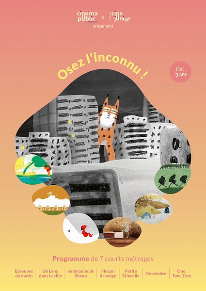 Affiche du film Osez l’inconnu !