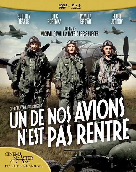 Affiche du film Un de nos avions n'est pas rentré