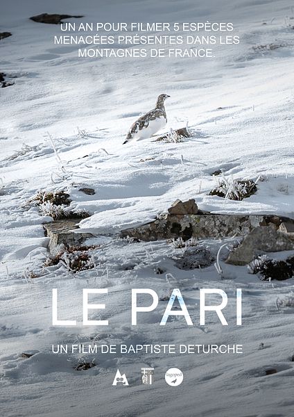 Affiche du film Le Pari