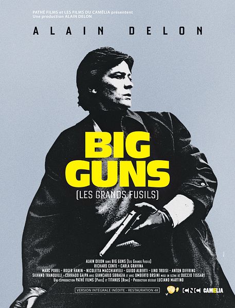 Affiche du film Big Guns - Les Grands fusils