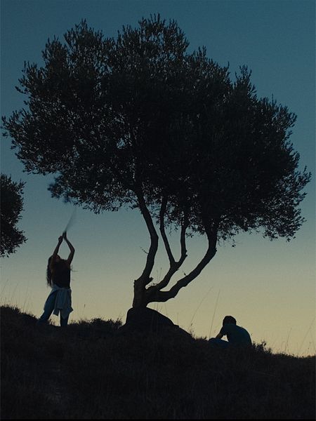 Affiche du film Bir'em