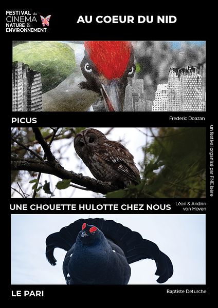 Affiche du film Au cœur du nid