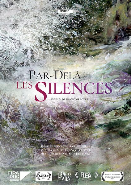 Affiche du film Par-delà les silences