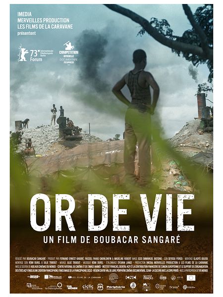 Affiche du film Or de vie
