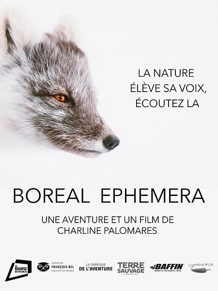 Affiche du film Boreal Ephemera