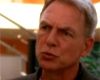 Un extrait de la saison 5 de "NCIS"