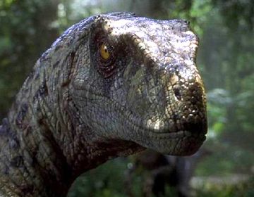 Y'a pas de lézard pour "Jurassic Park IV" et "Godzilla"; De nouvelles têtes à Sin City; News en bref; Les nominations aux Oscars; Marvel & Légo cassent des briques !