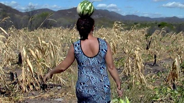 Hautes-Terres Bande-annonce