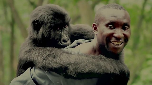 Virunga Bande-annonce
