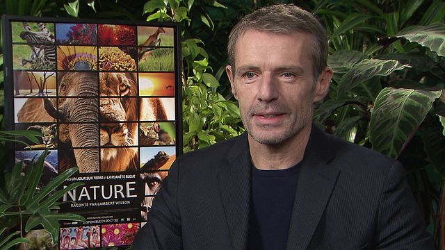 Lambert Wilson, narrateur du documentaire Nature, commente cette expérience de cinéma exceptionnelle : une plongée au coeur de la nature, dont on peut "observer le miracle permanent"...