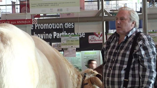 Reportage dans les coulisses de Saint Amour, le nouveau long métrage de Gustave Kervern et Benoit Delépine. Gérard Depardieu et Benoit Poelvoorde campent deux agriculteurs, père et fils. En exclusivité,&nbsp;AlloCiné était sur le tournage au Salon de l'agriculture !