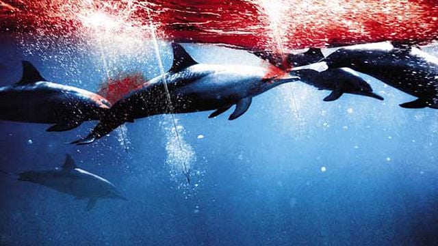 The Cove - La Baie de la honte Bande-annonce
