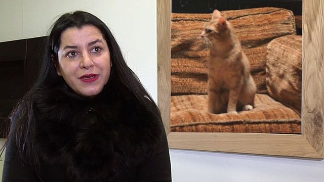 Marajane Satrapi, réalisatrice, révèle comment elle est parvenue à diriger les animaux du film, tous épatants de naturel. Monsieur Moustache, le chat roux de Ryan Reynolds, a manifestment donné du fil à retordre à la réalisatrice...