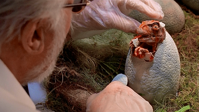 "Regarde ! Ça y est ! Il va naître ! Je me demande ce que c’est…"