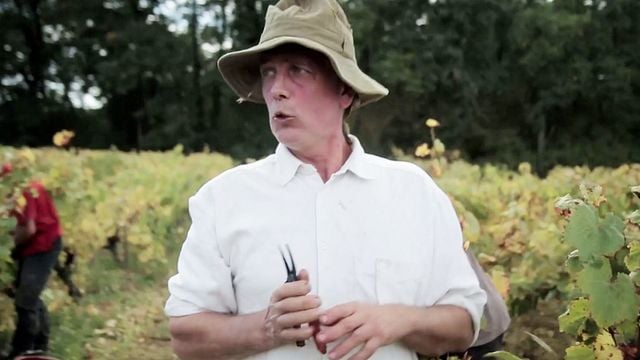Vendanges Bande-annonce