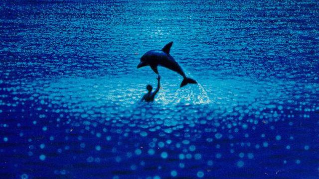 Pleins feux sur cinq films de Luc Besson : "Le Grand Bleu", "Nikita", "Léon", "Le Cinquième Element" et "Jeanne d'Arc".