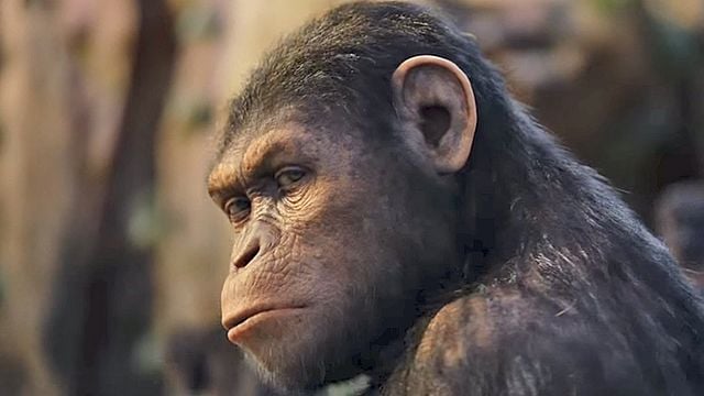La Planète des singes : les origines Bande-annonce