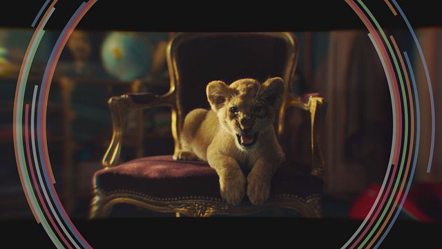 Chaque semaine, retrouvez toutes les sorties cinéma de la semaine sur CINE+, en partenariat avec AlloCiné.