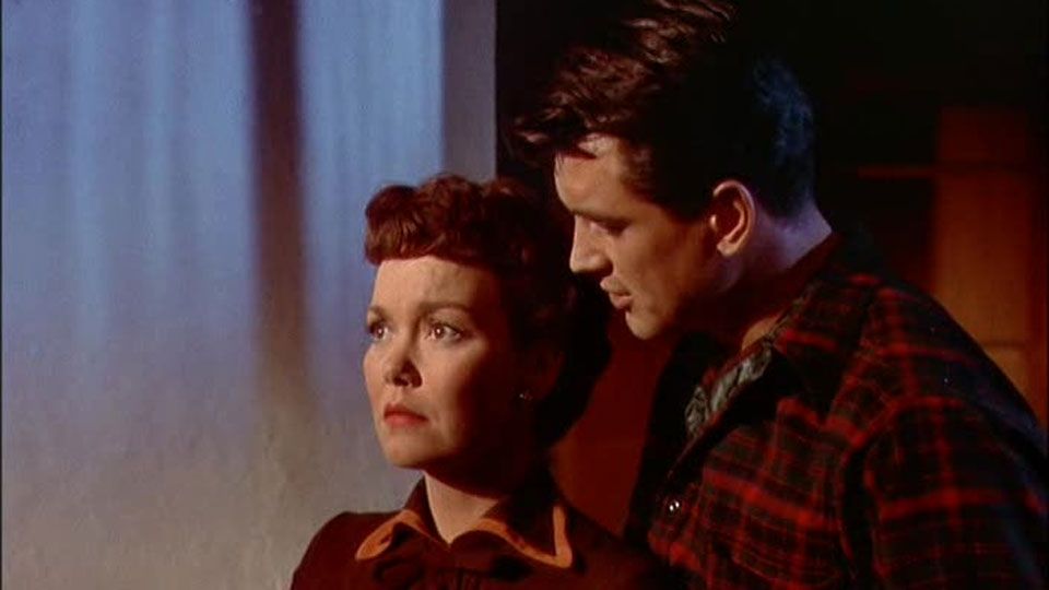 Film Et Si Le Ciel Existait Streaming Gratuit Trailer du film Tout ce que le ciel permet - Tout ce que le ciel permet