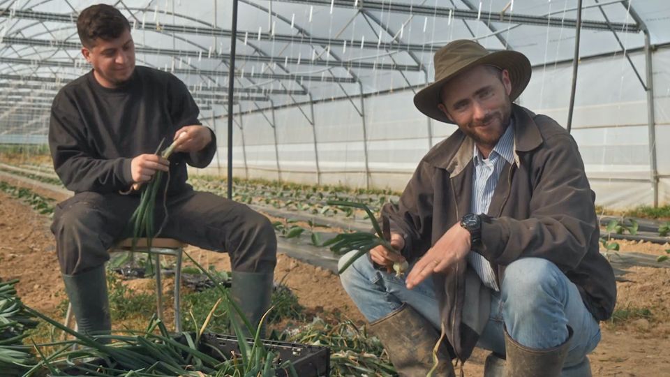 Bande annonce de Les Agrofrangins, par les soirs bleus d’été - Les