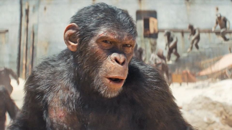 Trailer du film La Planète des Singes Le Nouveau Royaume La Planète des Singes Le Nouveau